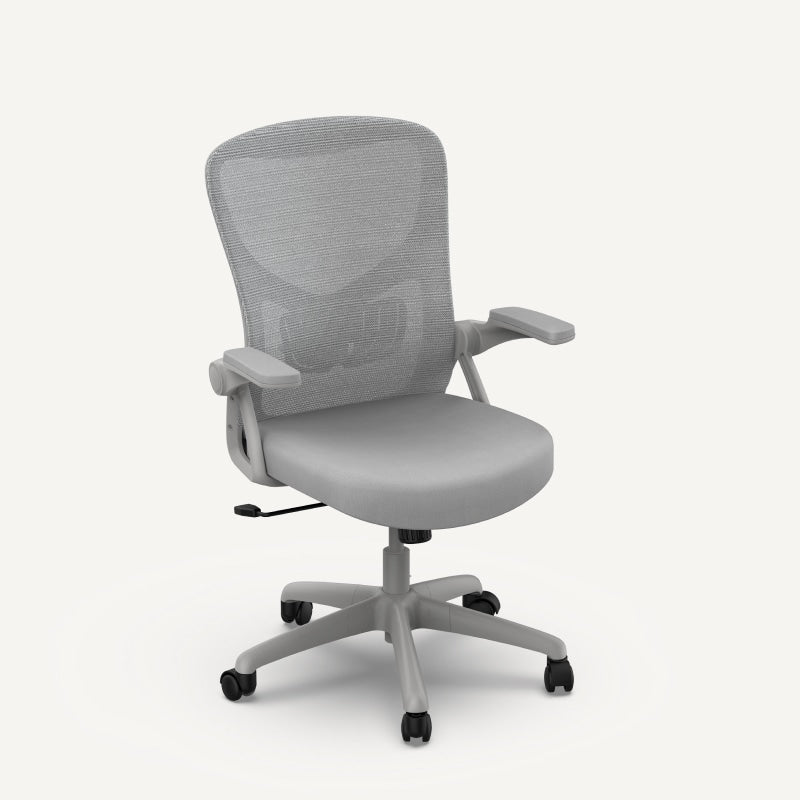 Ergonomic Office Chair (C2)