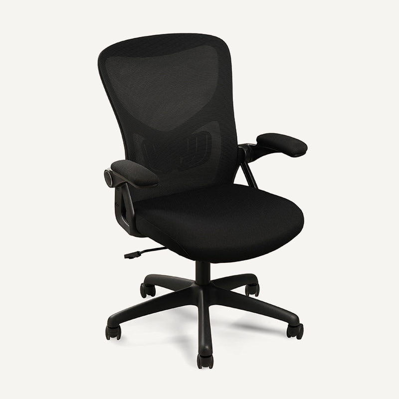 Ergonomic Office Chair (C2)