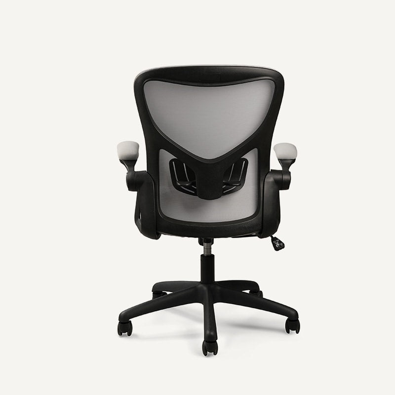 Ergonomic Office Chair (C2)