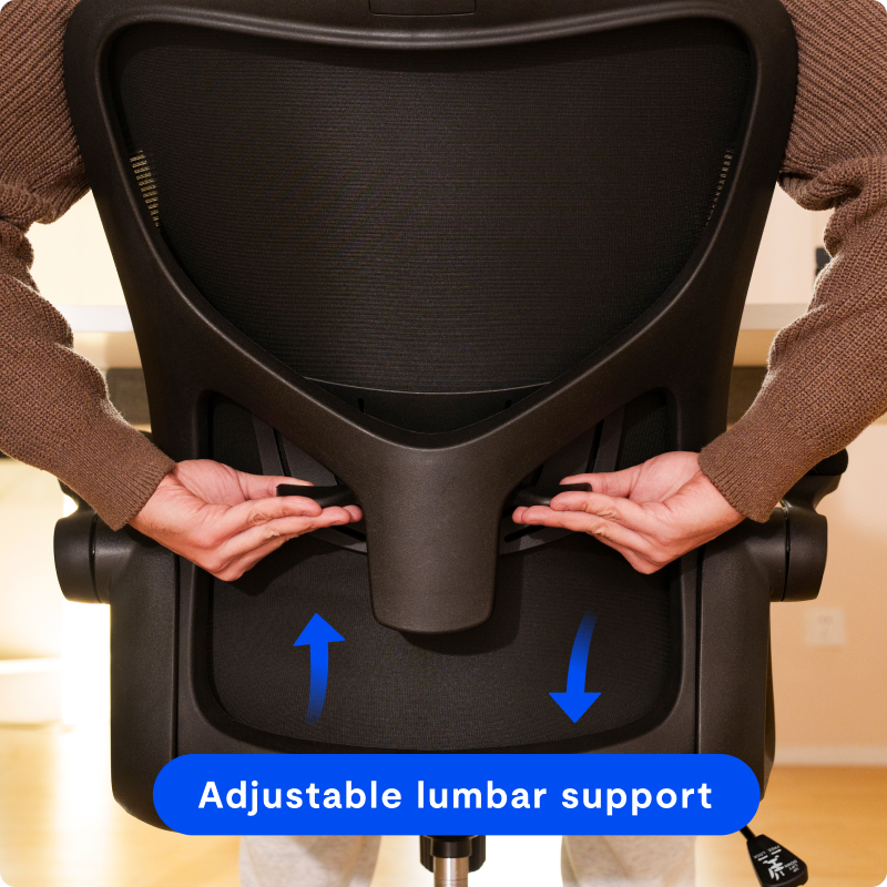 Ergonomic Office Chair (C2)