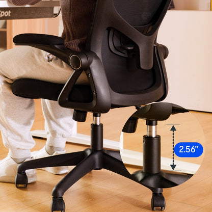 Ergonomic Office Chair (C2)