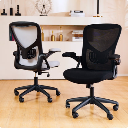 Ergonomic Office Chair (C2)