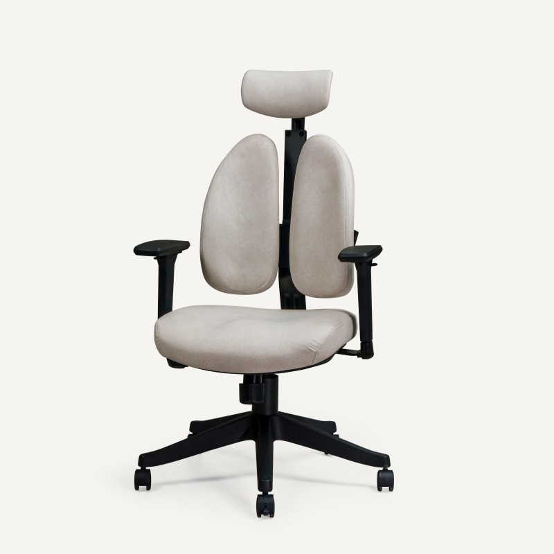 Double Backrest Ergonomic Chair (OC5)