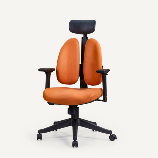 Double Backrest Ergonomic Chair (OC5)