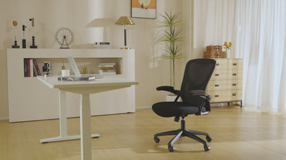 Ergonomic Office Chair (C2)